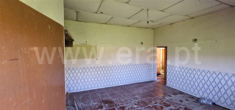 Prédio  Oliveira do Bairro, Bustos, Troviscal e Mamarrosa - 1471505 - 7