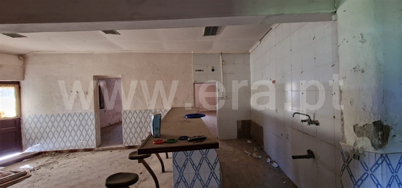 Prédio  Oliveira do Bairro, Bustos, Troviscal e Mamarrosa - 1471505 - 12
