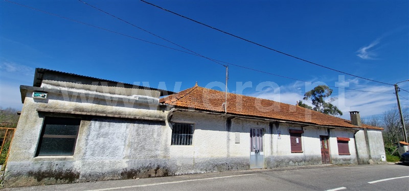 Moradia T3 / Oliveira do Bairro, Mamarrosa