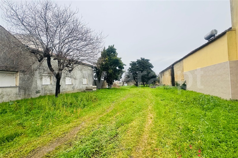 Moradia T3 à venda em Palhaça, Oliveira do Bairro — foto 20