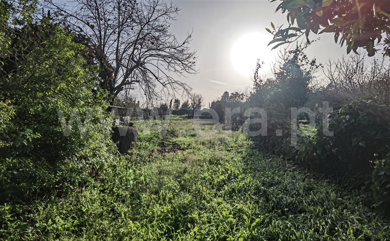 Moradia T3 com Terreno Oliveira do Hospital, Ervedal e Vila Franca da Beira - 1433174 - 16