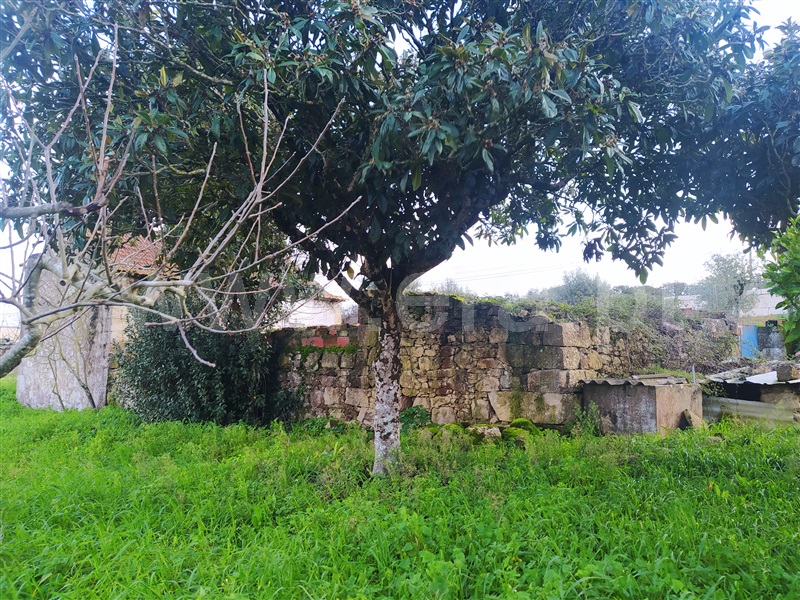 Andar Moradia T3 Ourém, Atouguia - 1294922 - 3