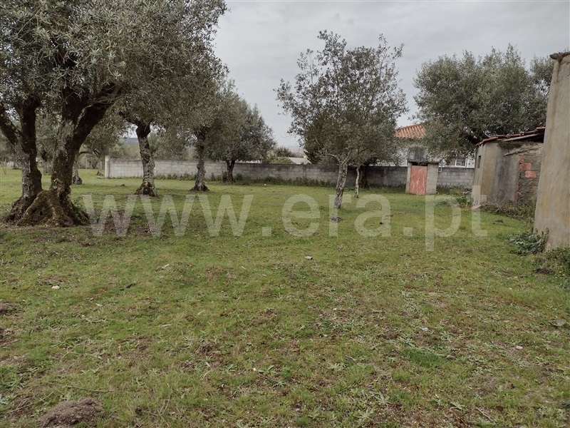 Moradia Isolada  Ourém, Nossa Senhora das Misericórdias - 1236648 - 8