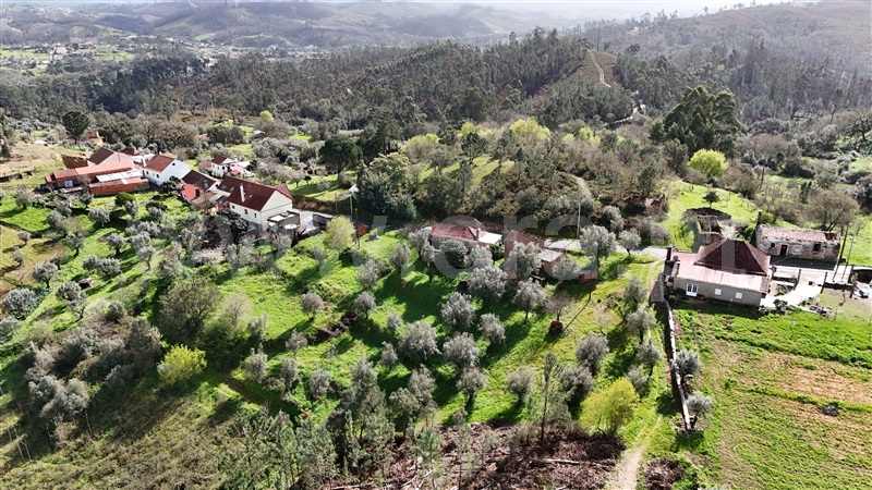 Moradia  Ourém, Freixianda, Ribeira do Fárrio e Formigais - 1389899 - 3
