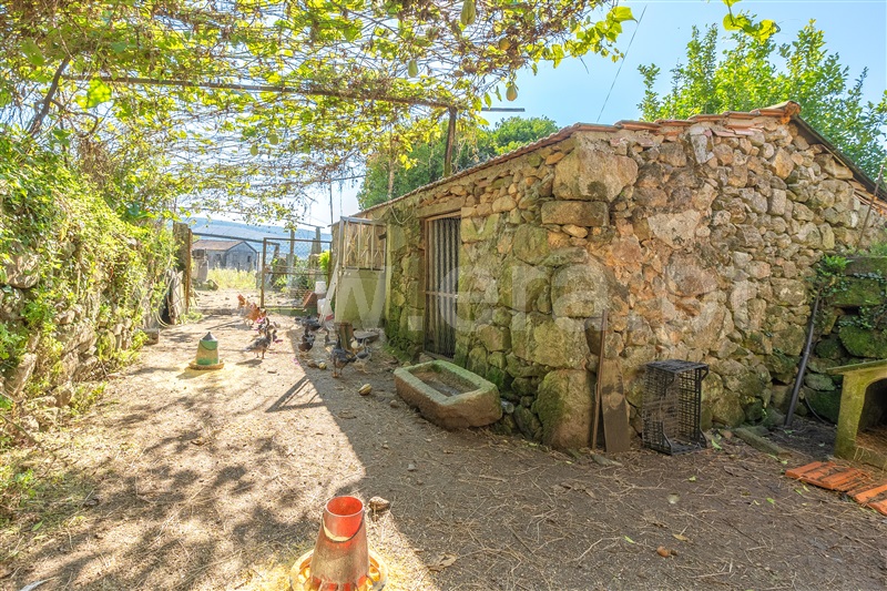 Moradia T3 Paredes de Coura, Agualonga - 1430848 - 44