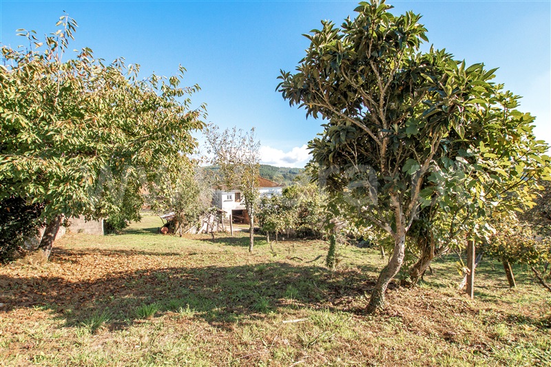 Moradia T3 Paredes de Coura, Cossourado e Linhares - 1280611 - 51