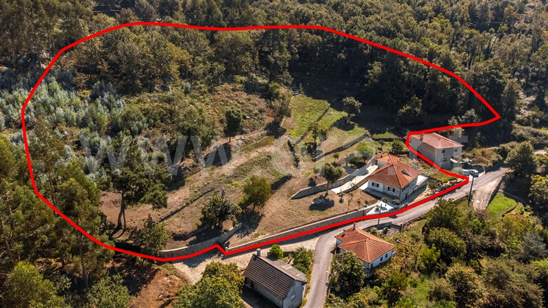 Quinta T3 Paredes de Coura, Infesta - 1352713 - 64