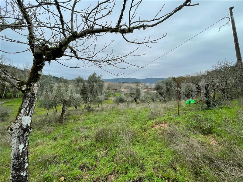 Moradia T3 Penela, Penela - 1379577 - 17