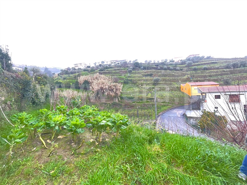 Moradia T3 Peso da Régua, Loureiro - 1385738 - 8
