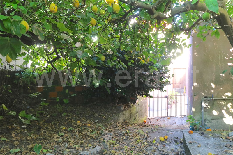 Moradia T3 Peso da Régua, Sedielos - 1504348 - 13