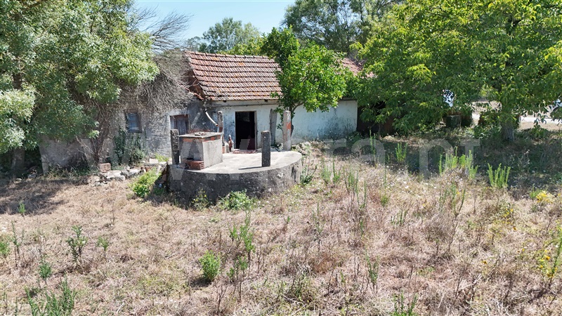 Moradia T3 Pombal, Abiul - 1420477 - 4