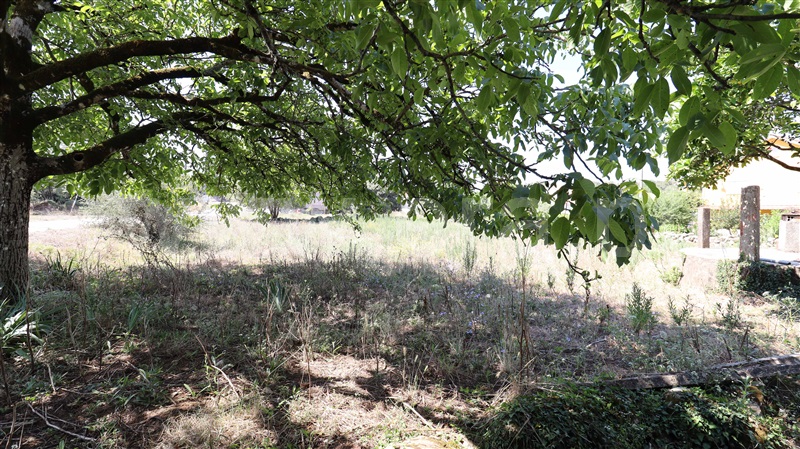 Moradia T3 Pombal, Abiul - 1420477 - 13