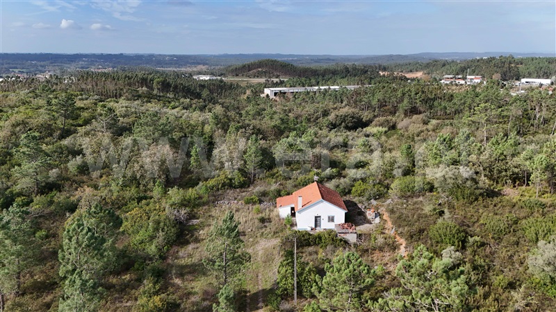 Moradia T3 com Nova Pombal, REDINHA - 1393972 - 2