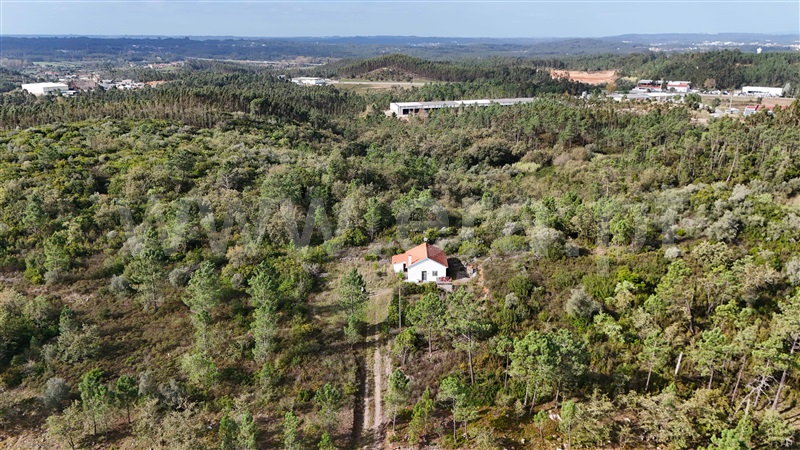 Moradia T3 com Nova Pombal, REDINHA - 1393972 - 15