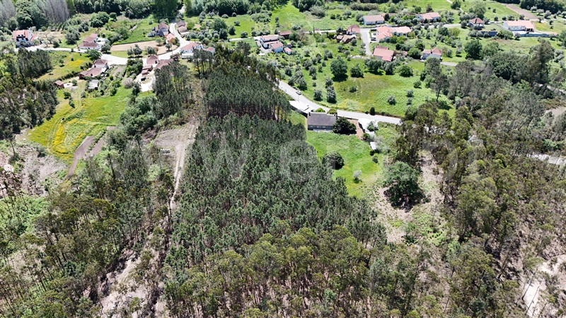 Moradia T3 à venda em Vila Cã, Pombal — foto 3