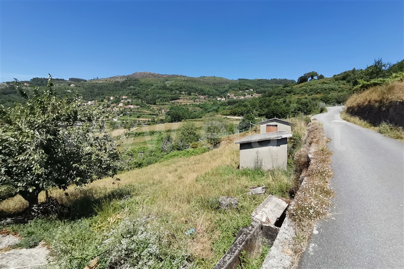 Moradia T3 Ponte de Lima, Barrio - 1455160 - 7