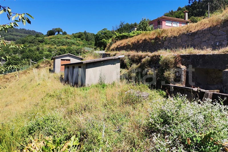 Moradia T3 Ponte de Lima, Barrio - 1455160 - 8