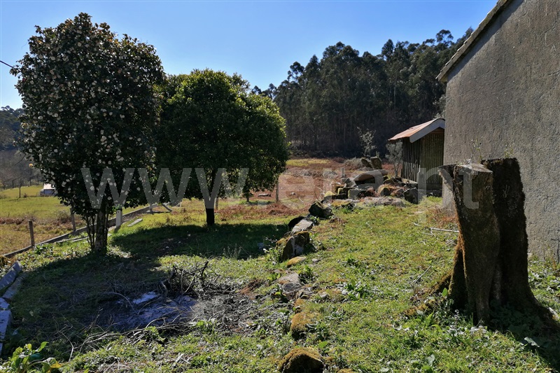 Moradia T3 Ponte de Lima, Cabaços - 1252602 - 21