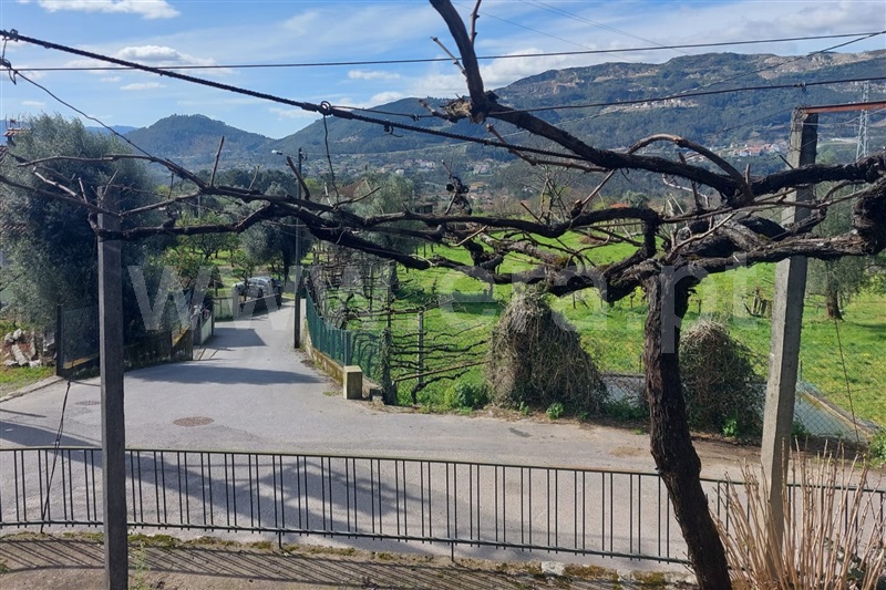 Moradia T3 Ponte de Lima, Calheiros - 1390042 - 8