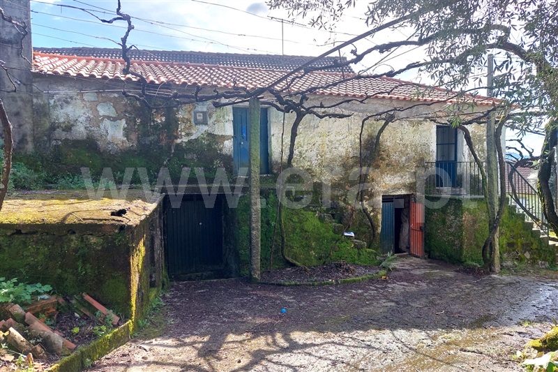 Moradia T3 Ponte de Lima, Calheiros - 1390042 - 10