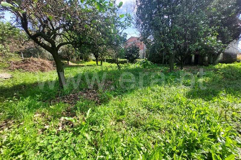 Moradia T3 Ponte de Lima, Calheiros - 1390042 - 14