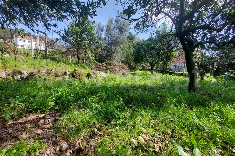 Moradia T3 Ponte de Lima, Calheiros - 1390042 - 15