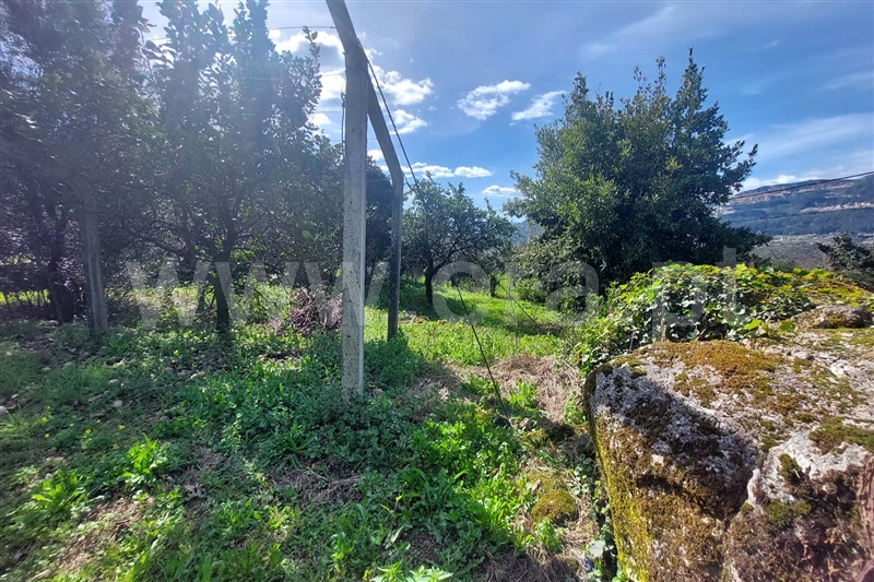 Moradia T3 Ponte de Lima, Calheiros - 1390042 - 16