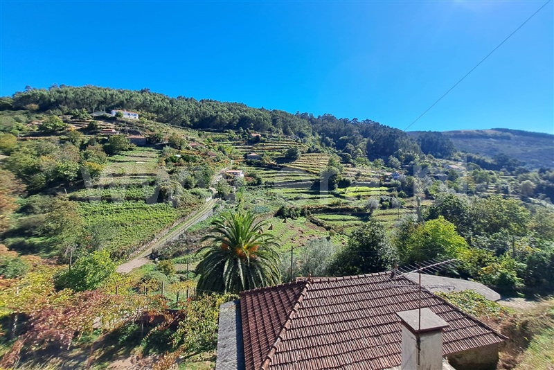 Moradia T3 Ponte de Lima, Calheiros - 1508096 - 6