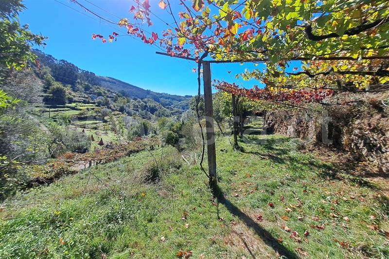 Moradia T3 Ponte de Lima, Calheiros - 1508096 - 8