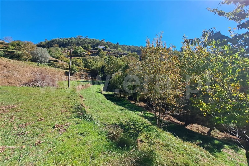 Moradia T3 Ponte de Lima, Calheiros - 1508096 - 9