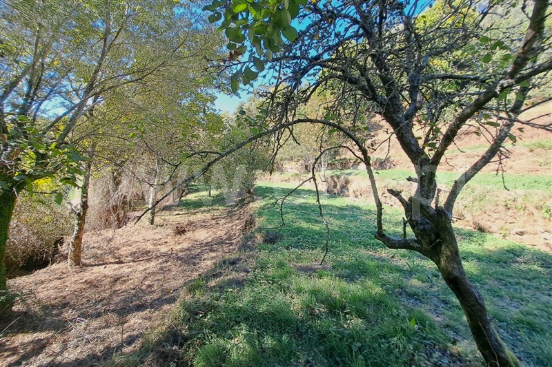 Moradia T3 Ponte de Lima, Calheiros - 1508096 - 11