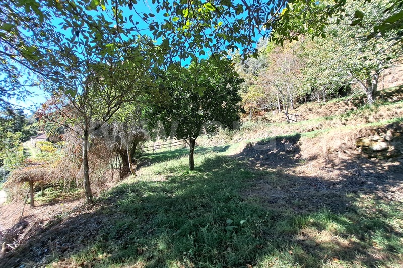 Moradia T3 Ponte de Lima, Calheiros - 1508096 - 12