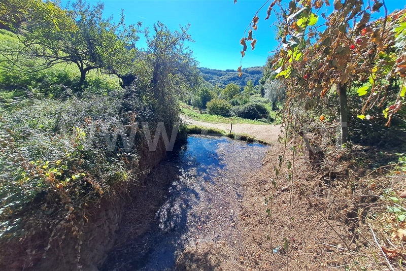 Moradia T3 Ponte de Lima, Calheiros - 1508096 - 13