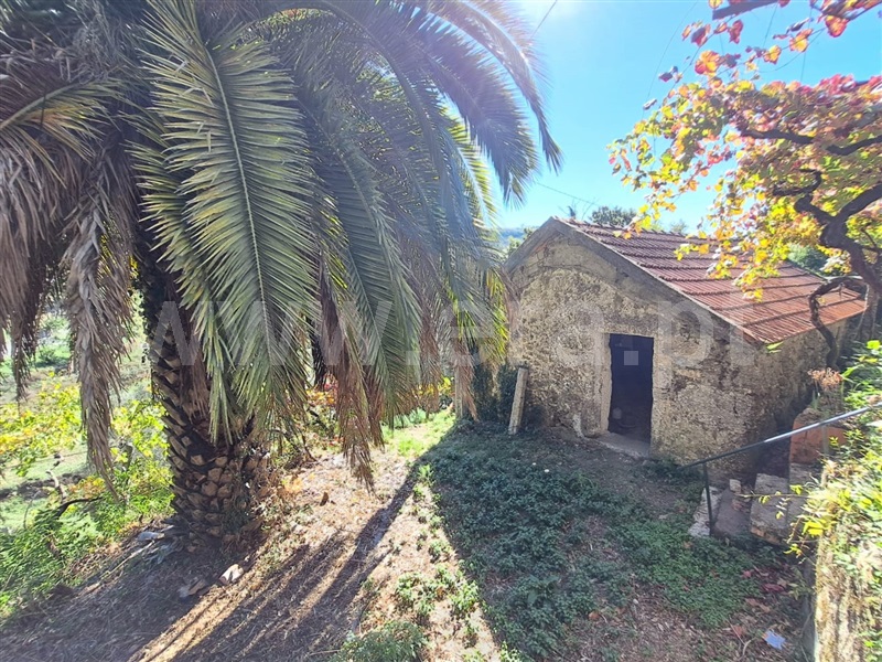 Moradia T3 Ponte de Lima, Calheiros - 1508096 - 16