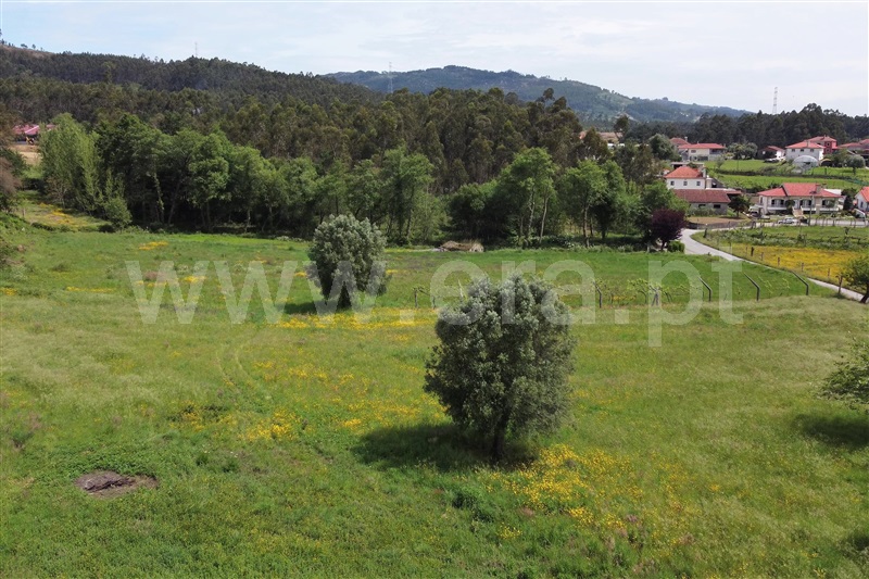 Moradia T3 Ponte de Lima, Calvelo - 1244960 - 23