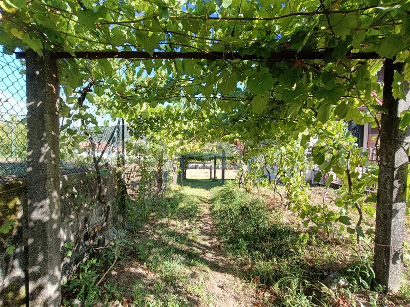 Moradia T3 Ponte de Lima, Gandra - 1426041 - 19
