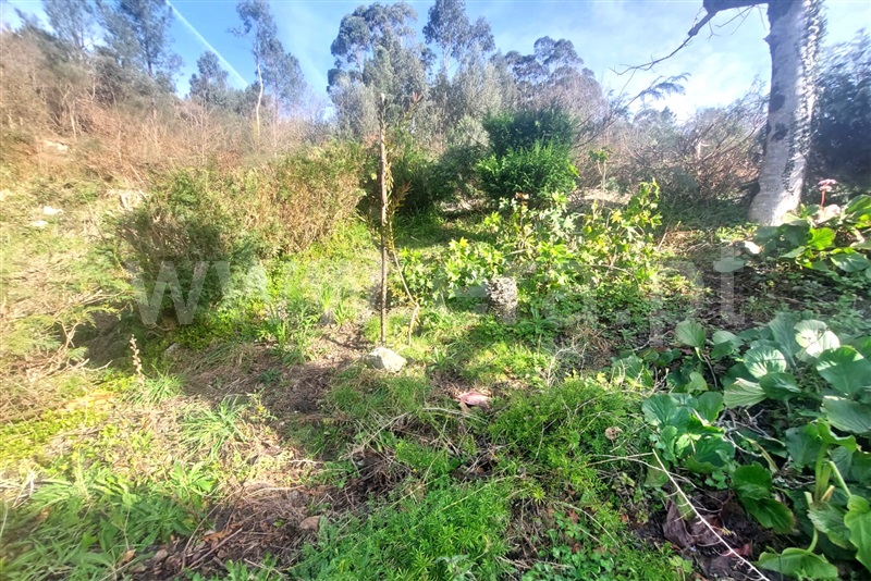 Moradia T3 Ponte de Lima, Rendufe - 1380156 - 7