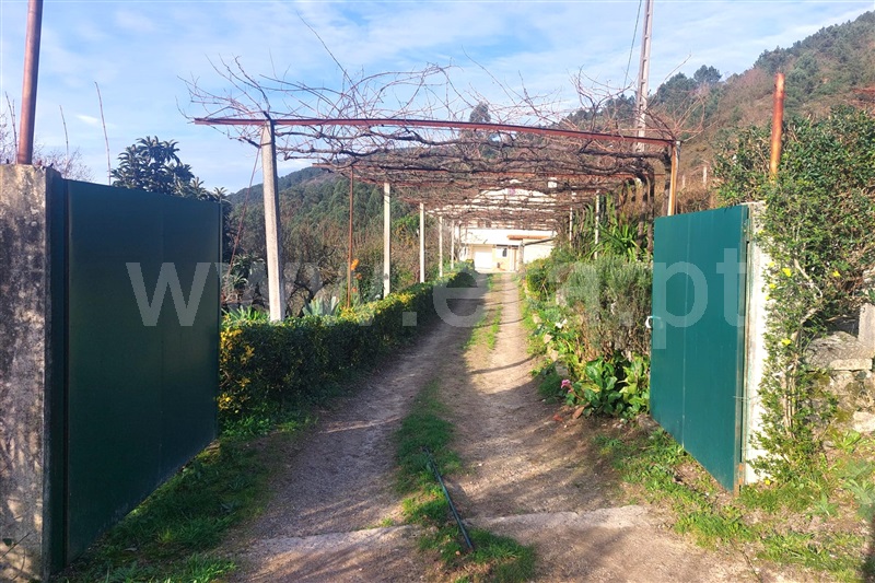 Moradia T3 Ponte de Lima, Rendufe - 1380156 - 22
