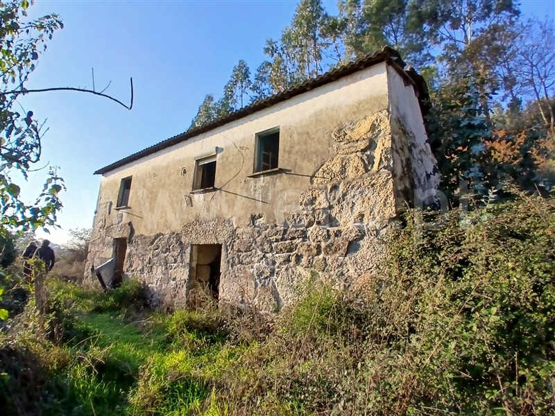Moradia T3 / Póvoa de Lanhoso, Calvos e Frades