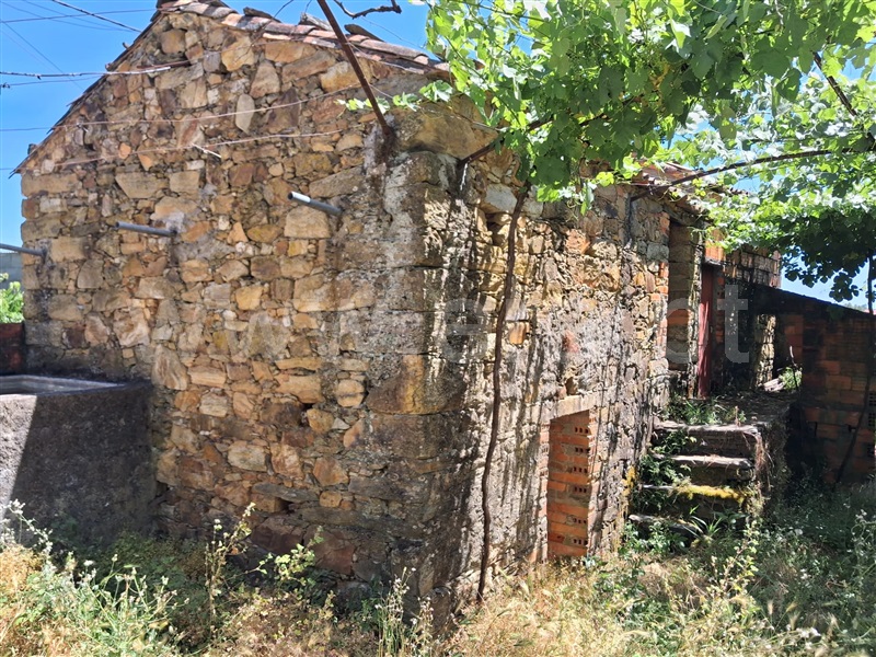 Moradia T3 à venda em Sobreira Formosa e Alvito da Beira, Proença-a-Nova — foto 6