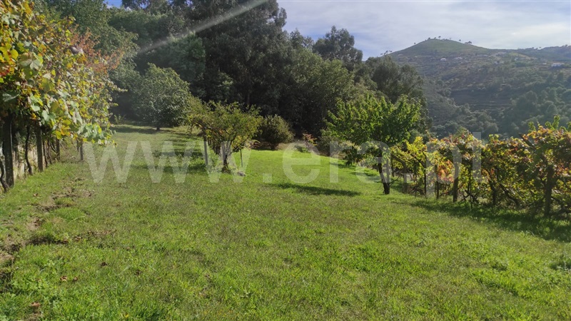 Moradia T4 Resende, São Cipriano - 1357612 - 11