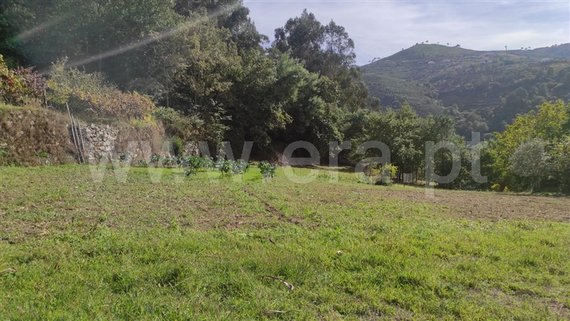 Moradia T4 Resende, São Cipriano - 1357612 - 12