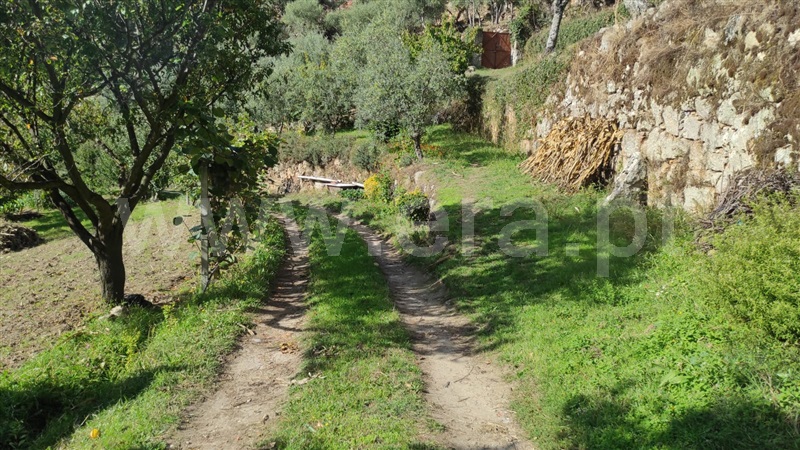 Moradia T4 Resende, São Cipriano - 1357612 - 16