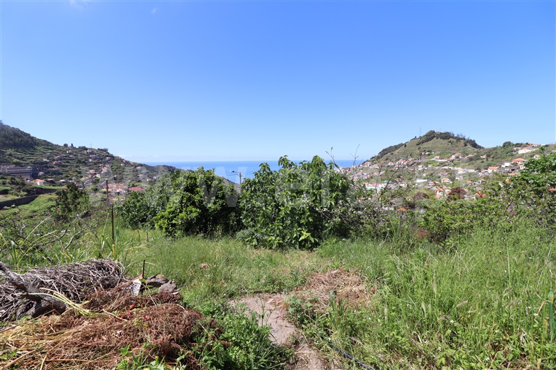 Moradia T3 / Ribeira Brava, Campanário