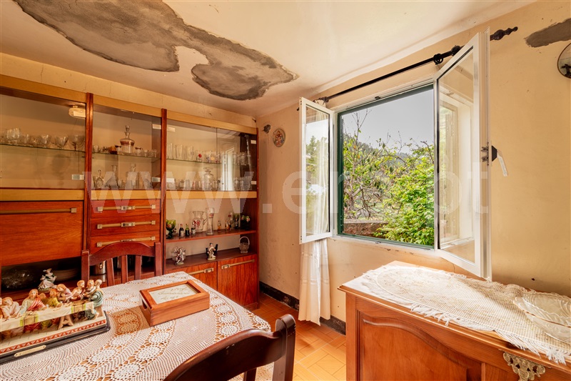 Moradia T3 Ribeira Brava, Campanário - 1481533 - 16
