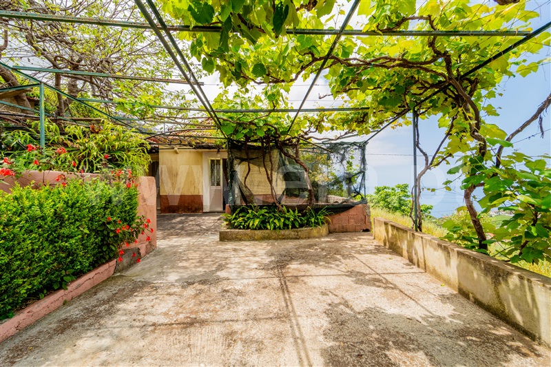 Moradia T3 Ribeira Brava, Campanário - 1481533 - 33