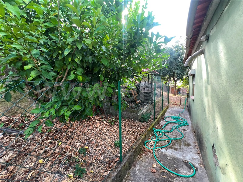 Moradia T3 à venda em Treixedo e Nagozela, Santa Comba Dão — foto 13