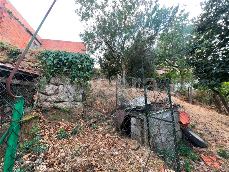Moradia T3 à venda em Treixedo e Nagozela, Santa Comba Dão — foto 14