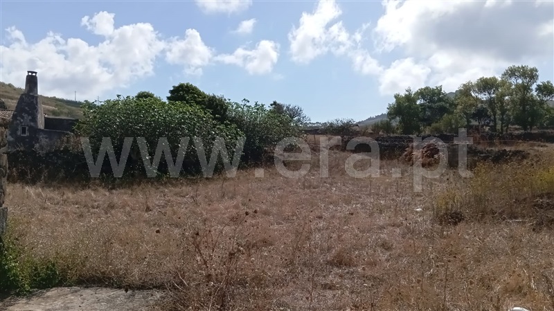 Moradia T3 Santa Cruz da Graciosa, São Mateus - 1453414 - 5
