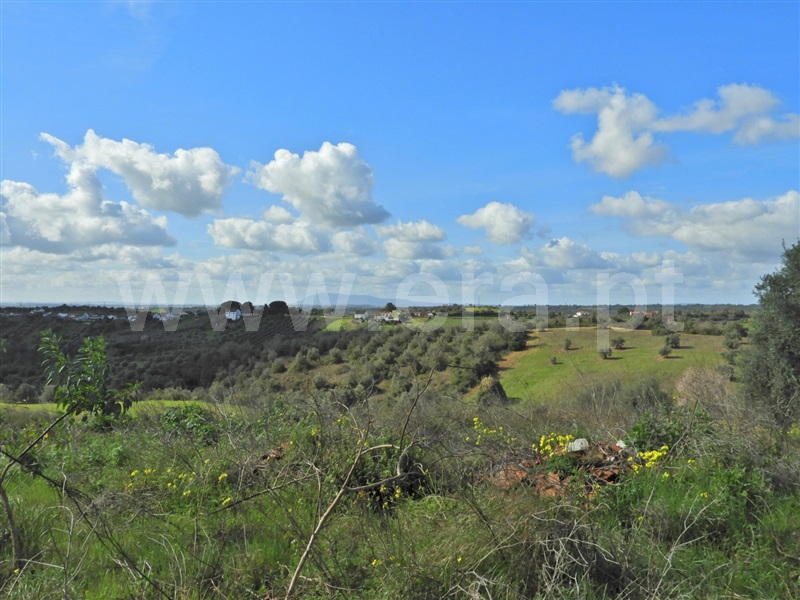 Moradia T3 Santarém, Abitureiras - 1463075 - 8